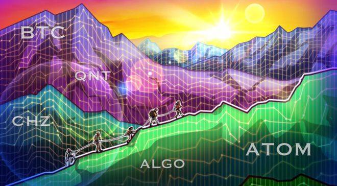 如果比特币价格稳定，5种山寨币可能会看涨