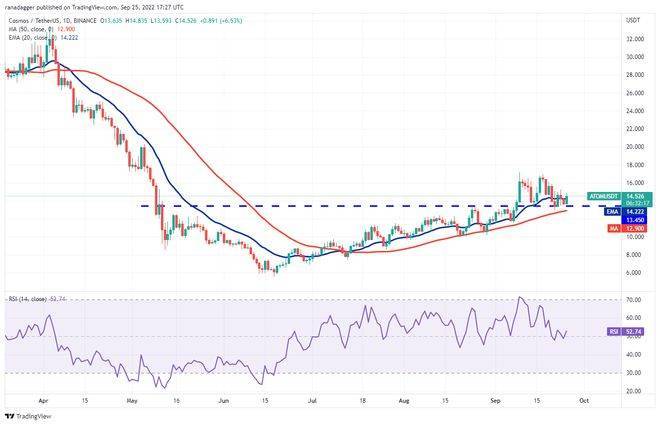 如果比特币价格稳定<strong></p>
<p>比特币价格</strong>，5种山寨币可能会看涨