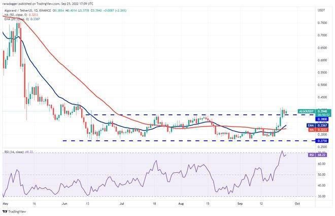 如果比特币价格稳定<strong></p>
<p>比特币价格</strong>，5种山寨币可能会看涨