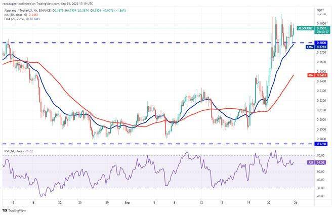 如果比特币价格稳定<strong></p>
<p>比特币价格</strong>，5种山寨币可能会看涨