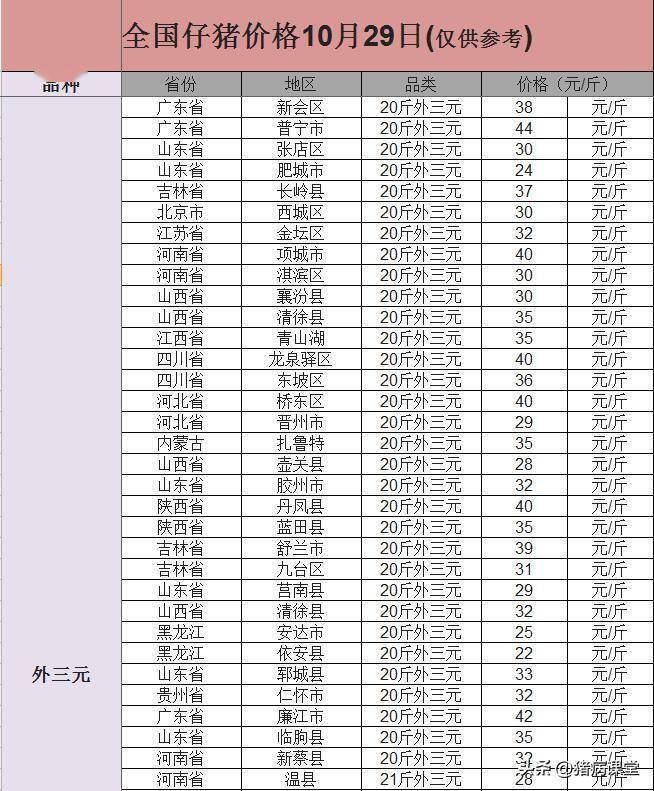 今日仔猪价格|全国各地20-40斤仔猪价格行情<strong></p>
<p>比特币今日行情价格</strong>,金仔猪行情继续