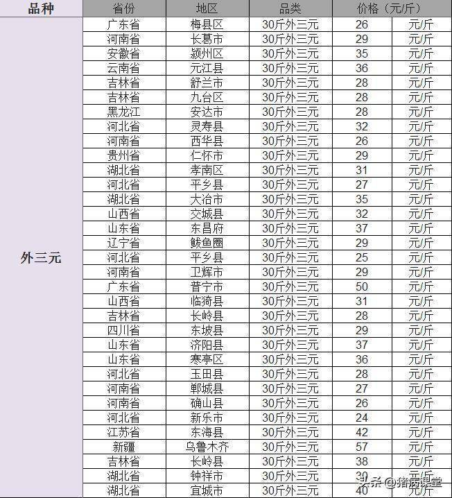 今日仔猪价格|全国各地20-40斤仔猪价格行情<strong></p>
<p>比特币今日行情价格</strong>,金仔猪行情继续