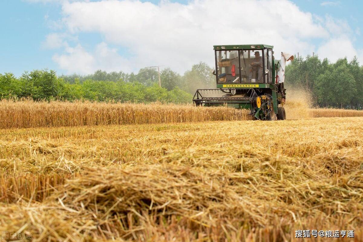 今日小麦价格行情<strong></p>
<p>比特币今日行情价格</strong>!8月29日