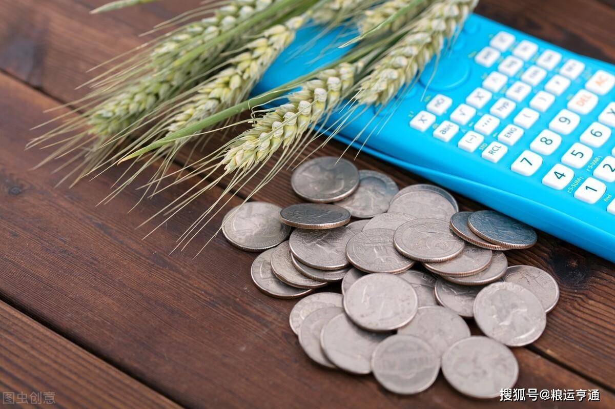 今日小麦价格行情！8月30日