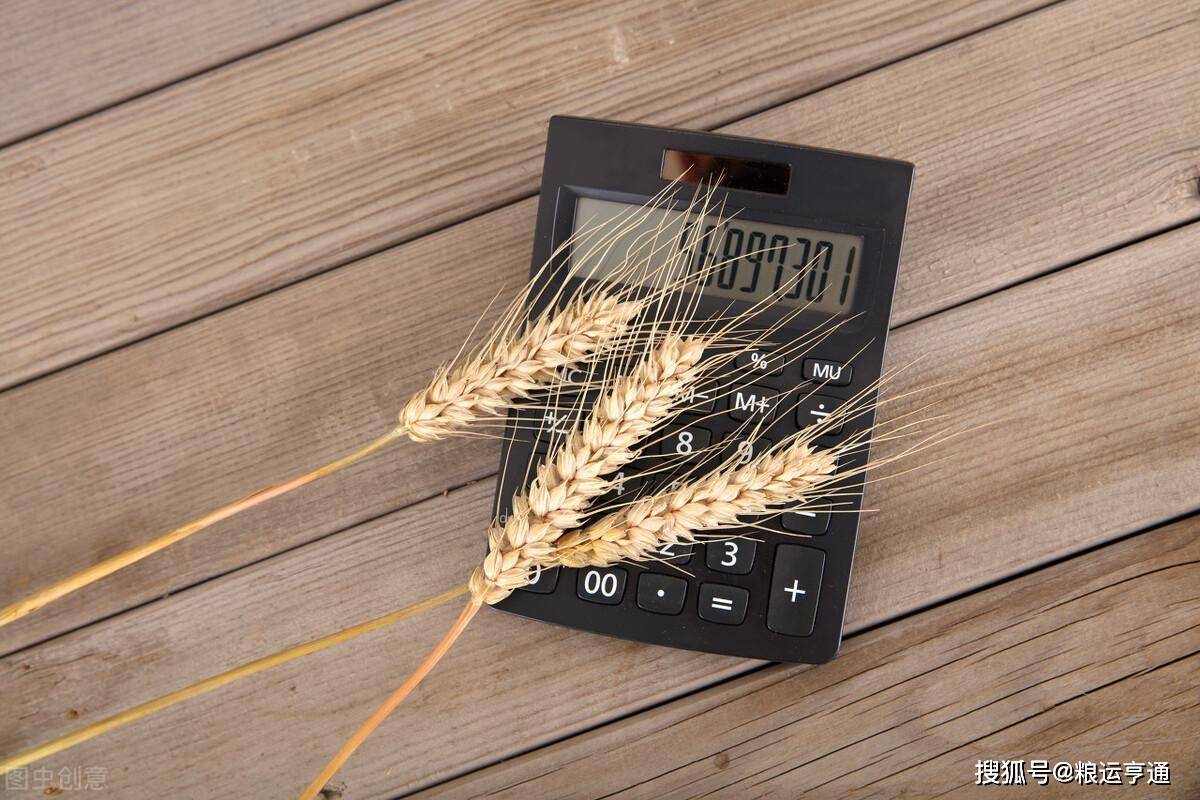 今日小麦价格行情！8月28日