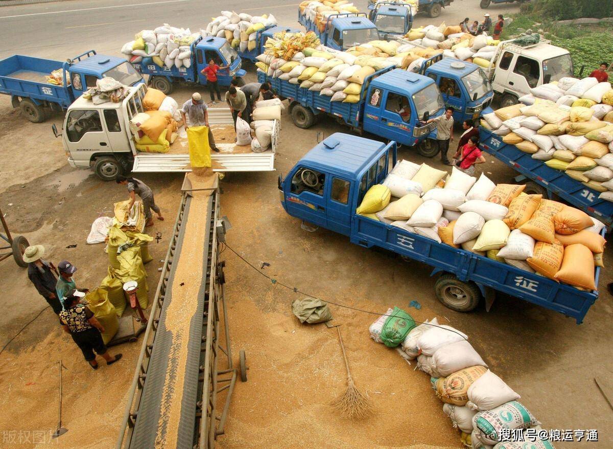 今日小麦价格行情<strong></p>
<p>比特币今日行情价格</strong>!8月28日