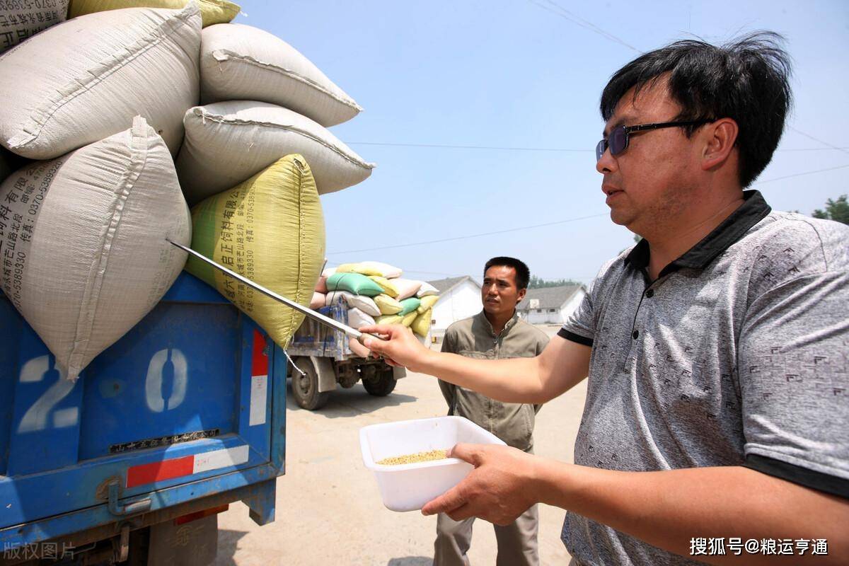 今日小麦价格行情<strong></p>
<p>比特币今日行情价格</strong>!8月28日