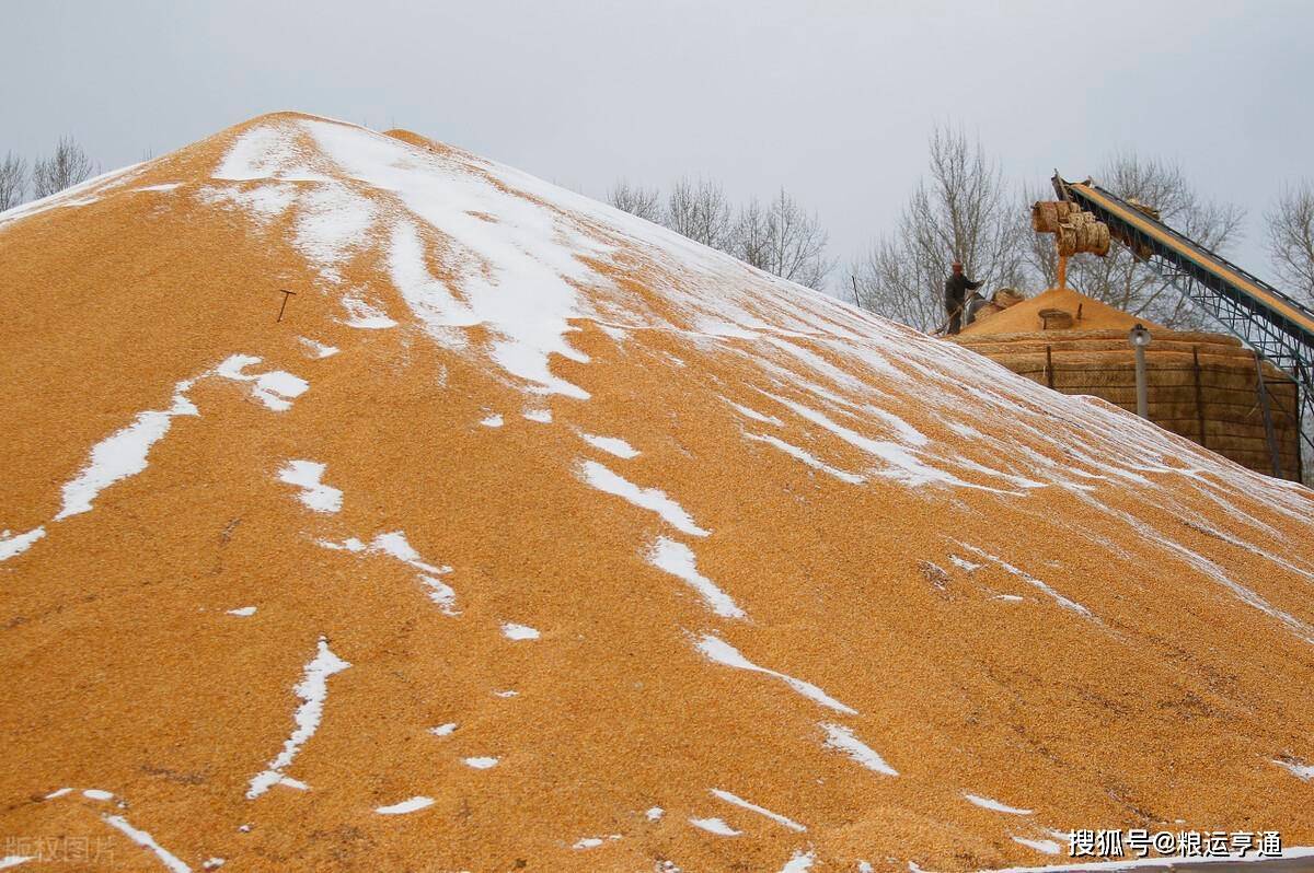 今日玉米价格行情<strong></p>
<p>比特币今日行情价格</strong>!8月29日