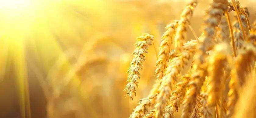 今日<strong></p>
<p>比特币价格今日行情</strong>,全国尿素价格行情2022年10月9日