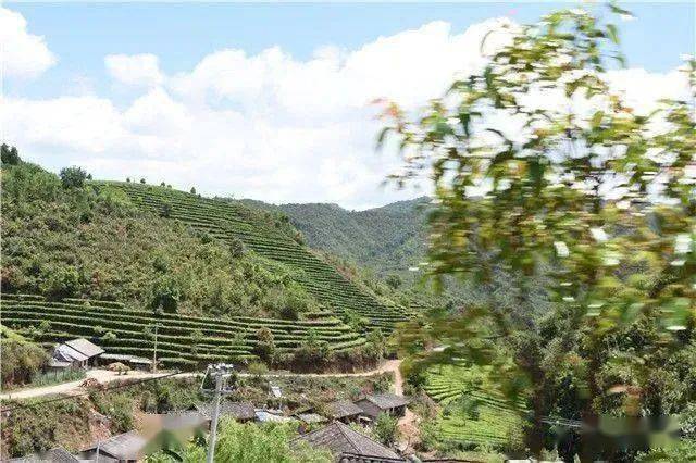 冰岛七万一公斤<strong></p>
<p>比特币价格实时行情</strong>！2022年云南普洱茶产区主要村落毛茶实时价格公布 ！云南普洱茶价格行情趋势预测