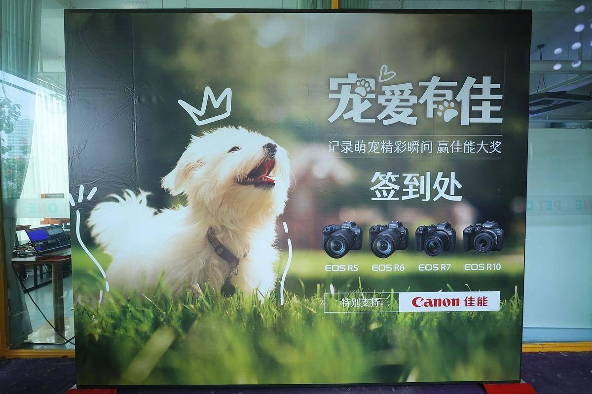 宠爱有佳 佳能EOS重庆站拍萌宠创意大片