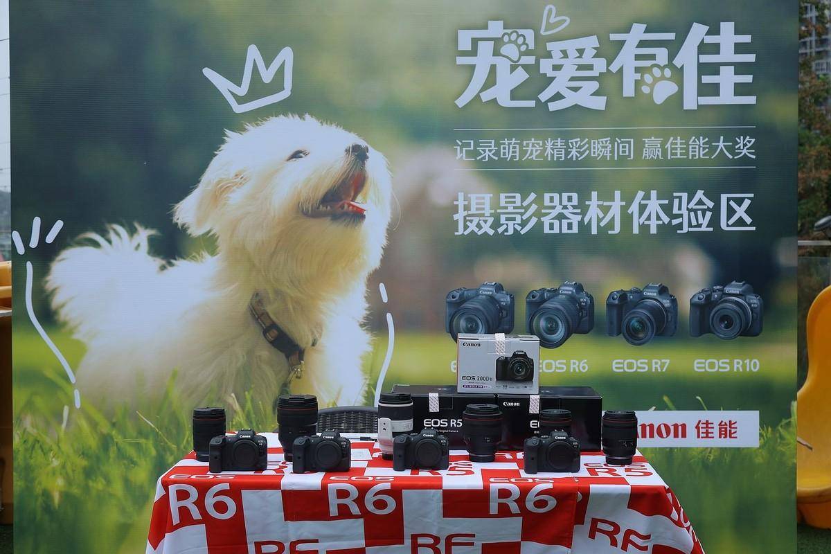 宠爱有佳 佳能EOS重庆站拍萌宠创意大片