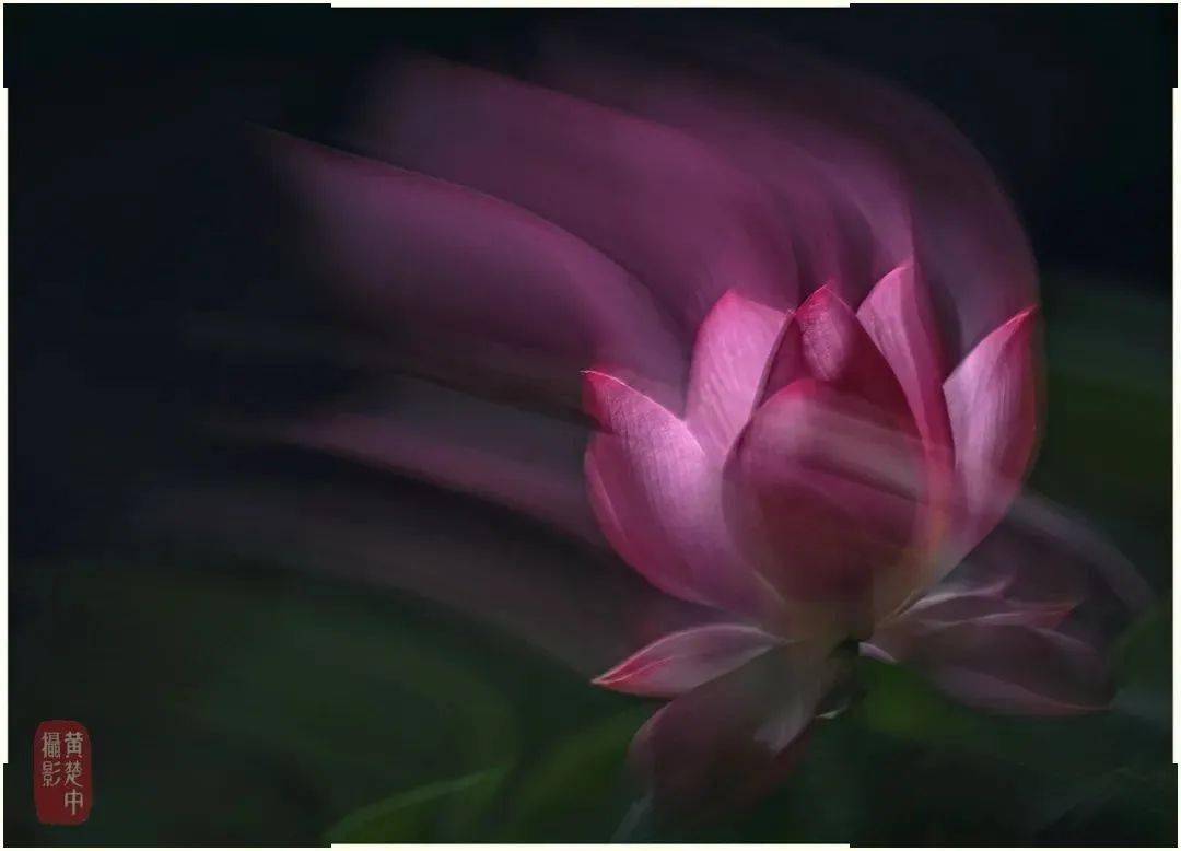 【快领邀请函】名师摄影体验讲座不要错过哦——8月20日EOS摄影大篷车登陆桂林<strong></p>
<p>eos价格</strong>！！