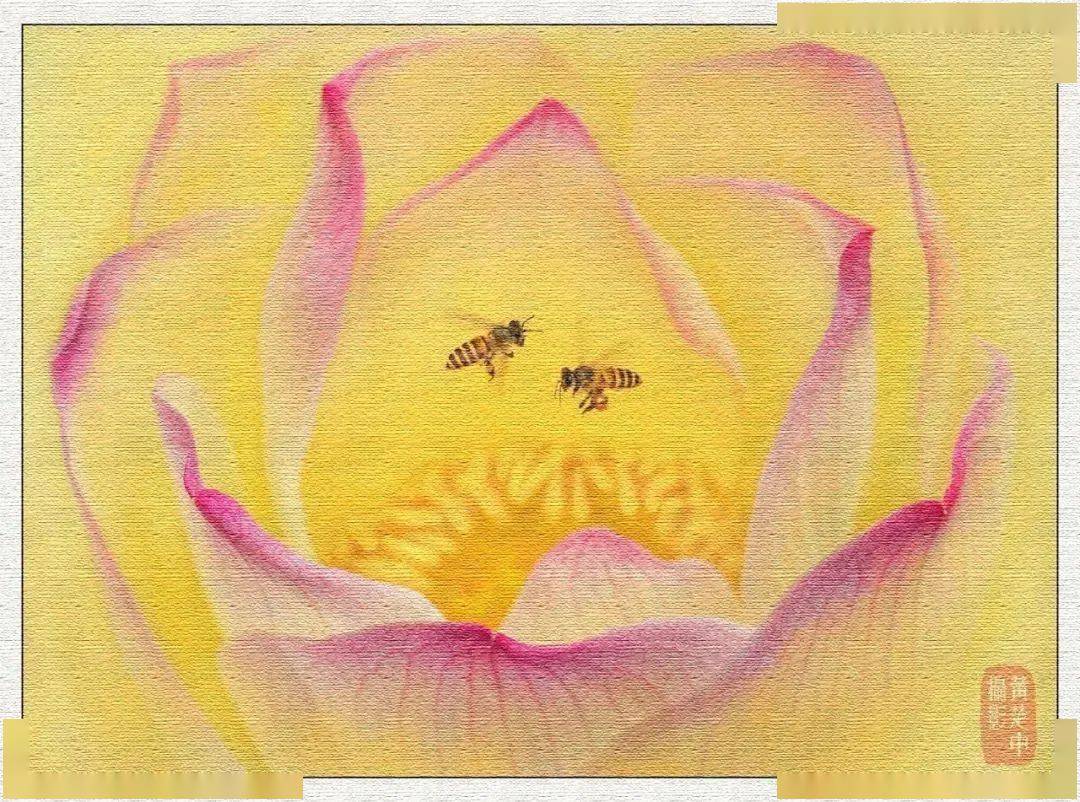 【快领邀请函】名师摄影体验讲座不要错过哦——8月20日EOS摄影大篷车登陆桂林<strong></p>
<p>eos价格</strong>！！