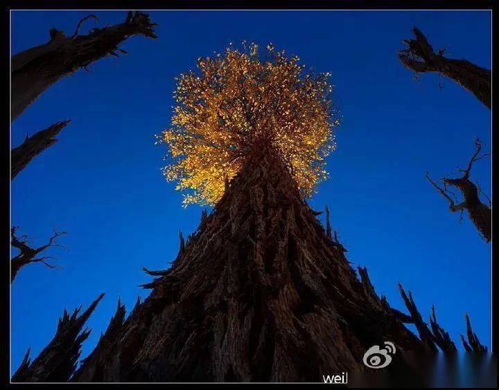 【快领邀请函】名师摄影体验讲座不要错过哦——8月20日EOS摄影大篷车登陆桂林<strong></p>
<p>eos价格</strong>！！