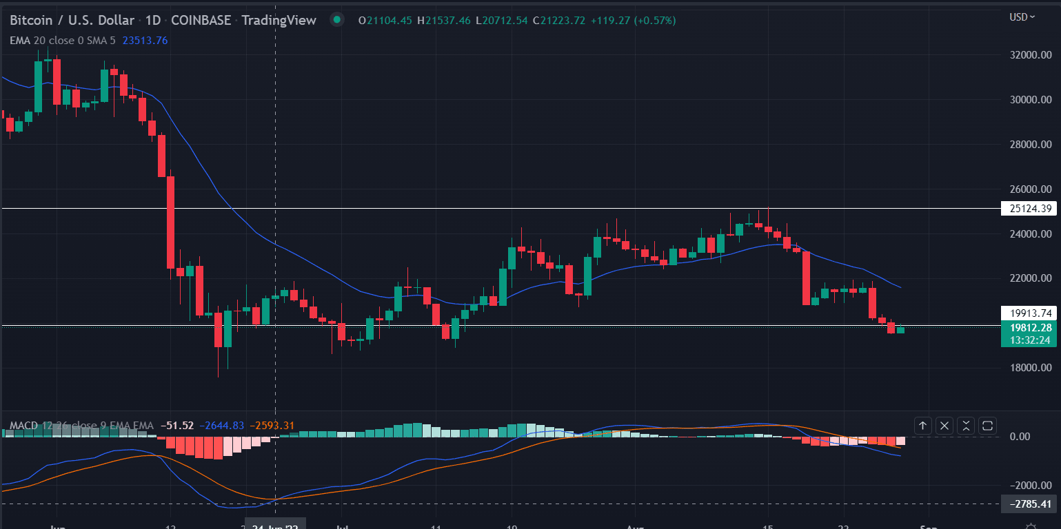 比特币价格测试每月低点接近 19,500 美元；市场是否见底<strong></p>
<p>比特币最新价格</strong>？