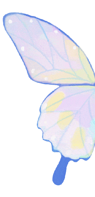 莱特科普：飞机降落的决断高度