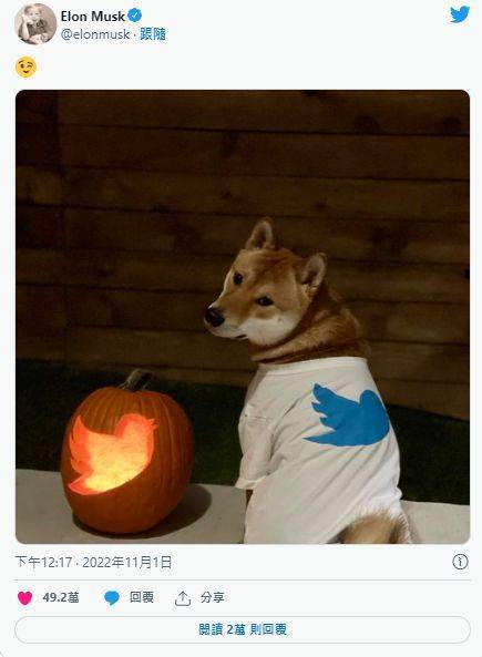 前50大Doge鲸鱼一天增持4.8亿枚、拥64%代币<strong></p>
<p>doge币行情</strong>！狗狗币大涨3成