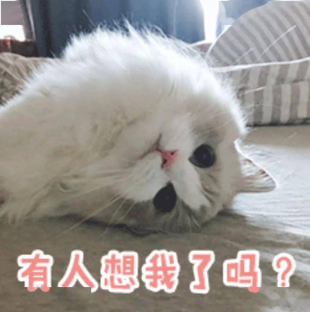 过半比特币交易造假/ 苹果AR产品商标曝光... 更多新鲜事在此