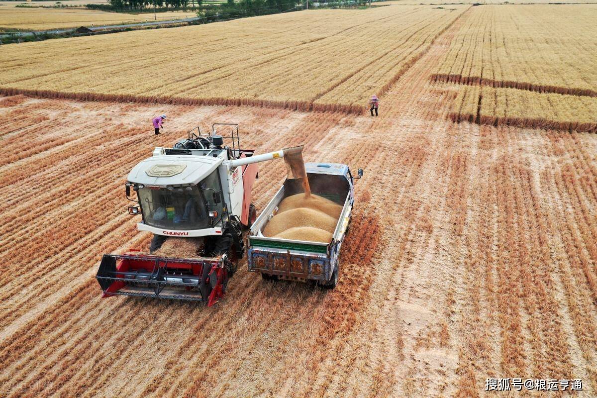 小麦价格“涨翻天”<strong></p>
<p>比特币最新价格行情</strong>!10月14日最新行情