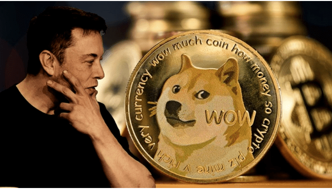 马斯克与狗狗币的币海浮沉