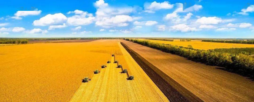 最新<strong></p>
<p>比特币今日价格行情</strong>!今日尿素价格行情!2022年12月7日