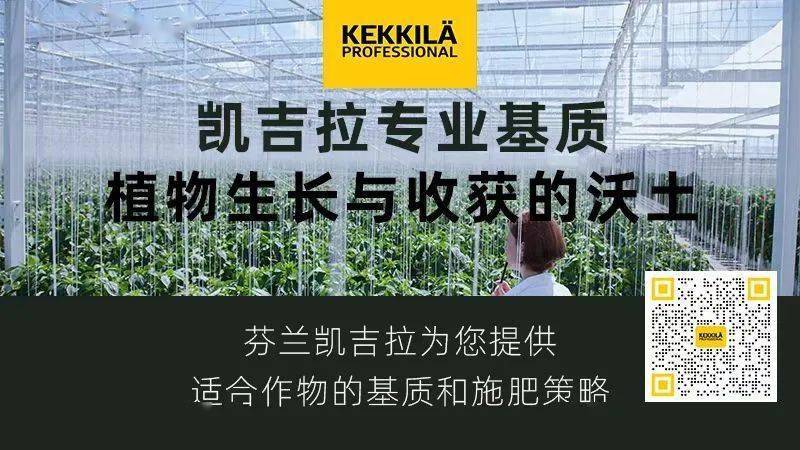 最新<strong></p>
<p>比特币今日行情价格</strong>，没停！今日尿素价格，继续上涨！11月17日全国尿素价格行情