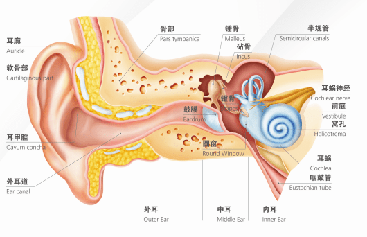 如何降低听力风险<strong></p>
<p>降低股票风险</strong>！