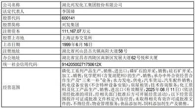 湖北兴发化工集团股份有限公司 十届十七次监事会决议公告