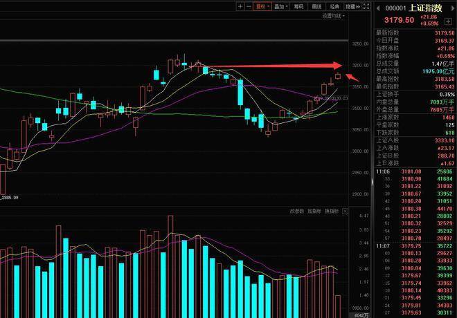 白酒小突破后指数和科技冲高回落<strong></p>
<p>股票开盘冲高后一直回落</strong>,如何理清思路