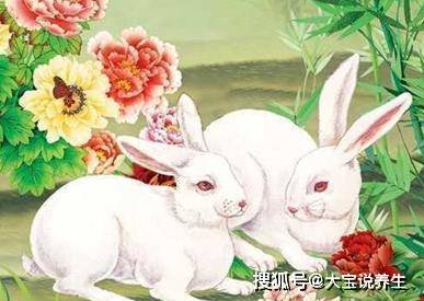 年底收入翻倍的三个生肖<strong></p>
<p>股票翻倍计算</strong>,用金钱计算器都数不过来!