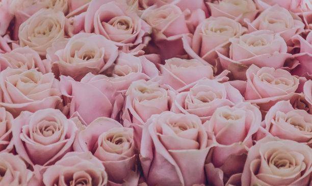 连日来<strong></p>
<p>股票翻倍计算</strong>，股票翻倍，爱情醉人，财神爷降临，三大生肖引变