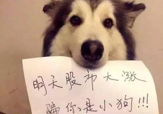 搞笑炒股表情包<strong></p>
<p>股票不能这样炒</strong>，搞笑散户炒股动态图，搞笑散户炒股表情包