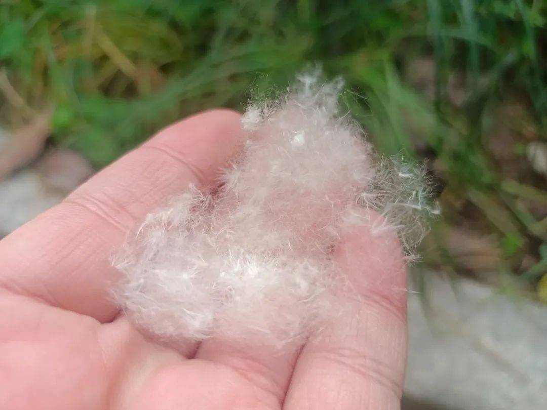 近期出门<strong></p>
<p>近期好股票</strong>,请戴好口罩