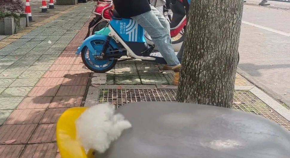 近期出门<strong></p>
<p>近期好股票</strong>,请戴好口罩