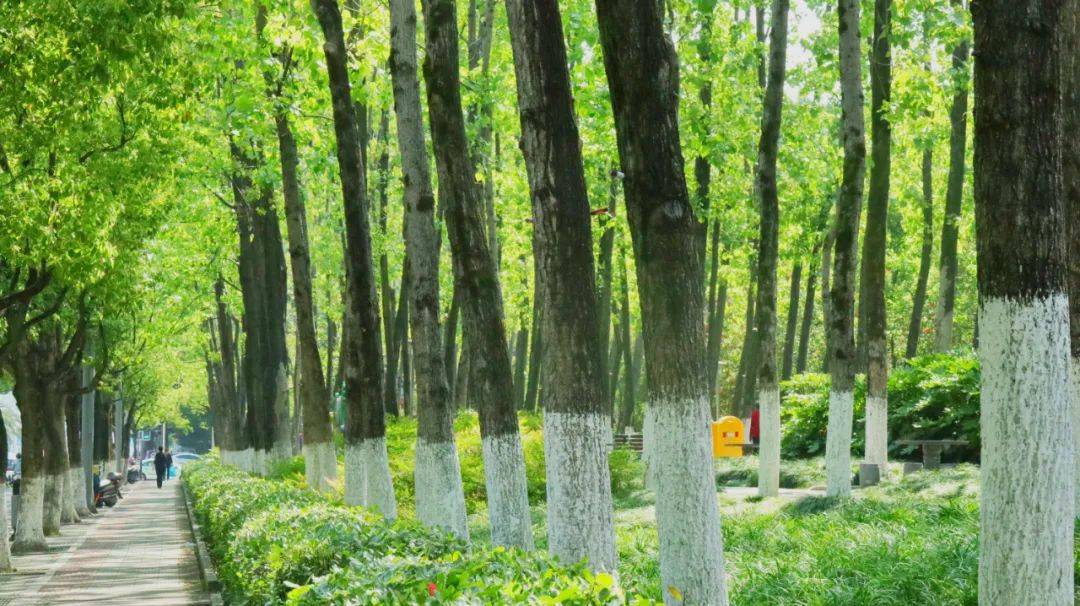 近期出门<strong></p>
<p>近期好股票</strong>,请戴好口罩