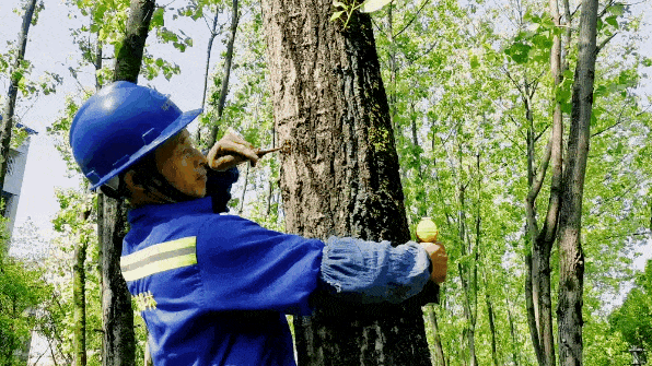 近期出门<strong></p>
<p>近期好股票</strong>,请戴好口罩