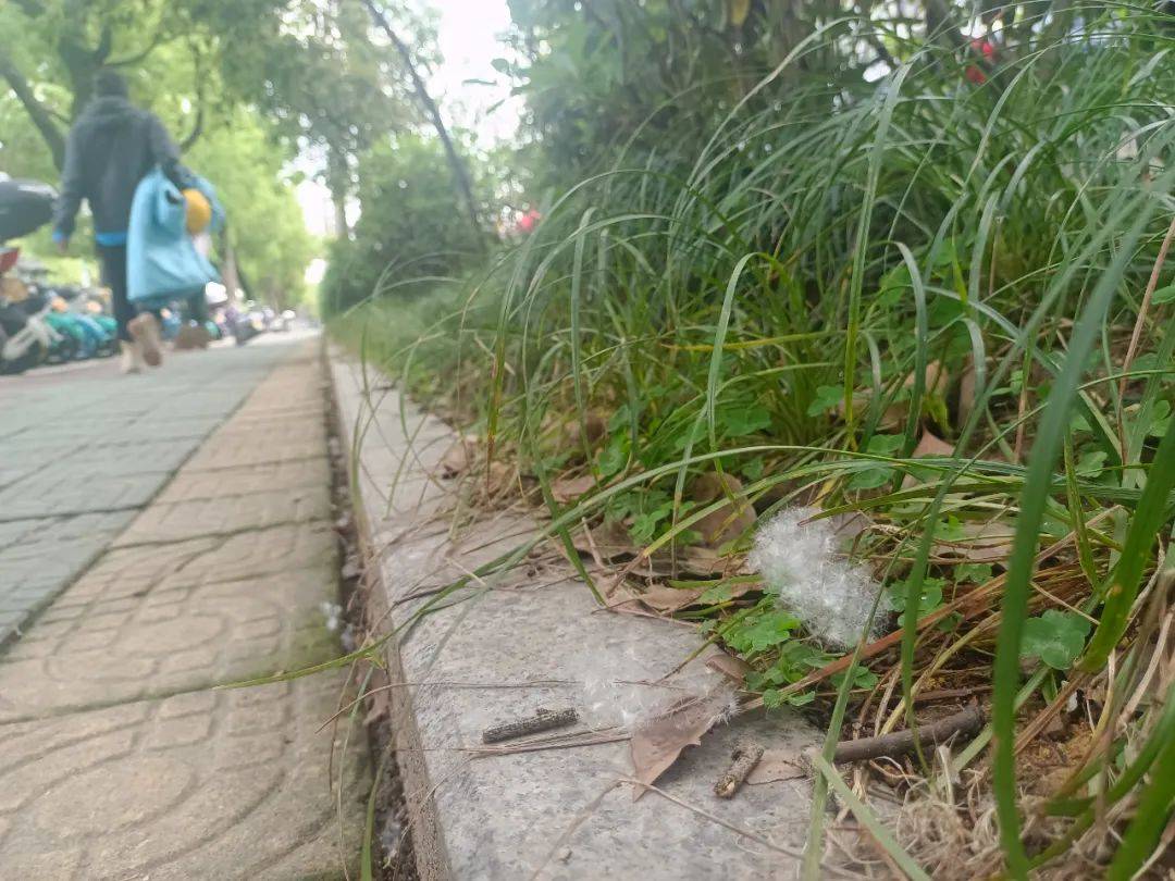 近期出门<strong></p>
<p>近期好股票</strong>,请戴好口罩