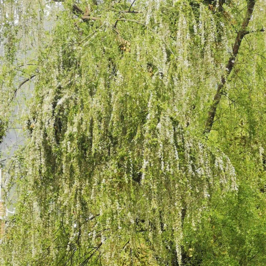 近期出门<strong></p>
<p>近期好股票</strong>,请戴好口罩