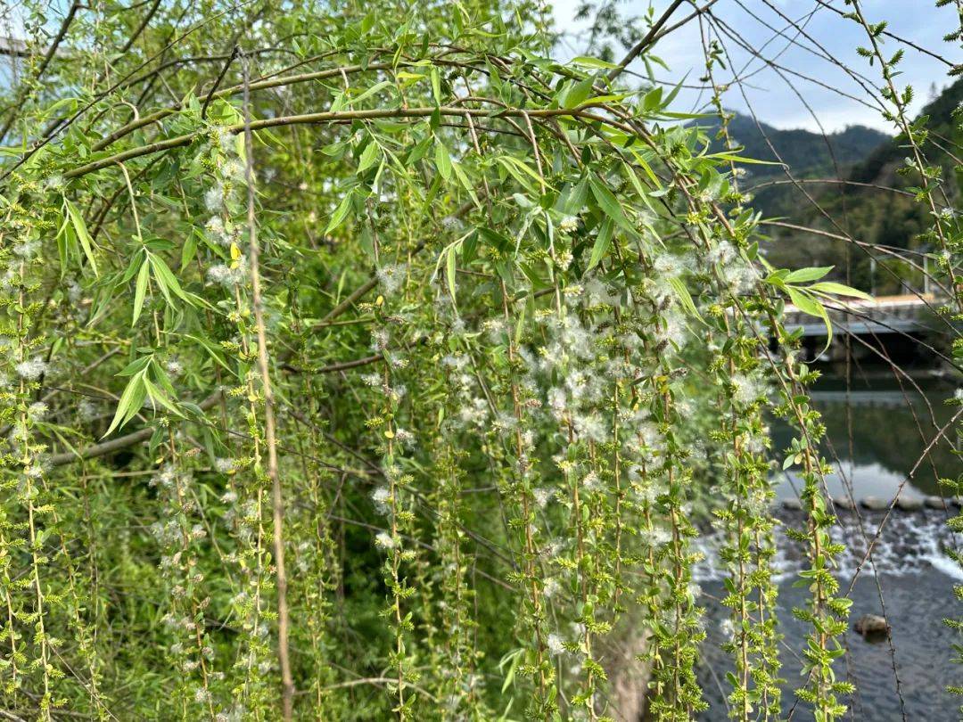 近期出门<strong></p>
<p>近期好股票</strong>,请戴好口罩