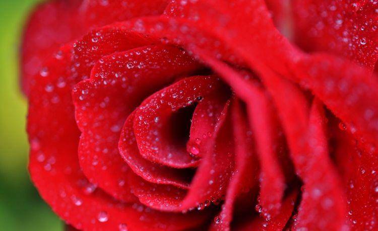 近期桃花真爱<strong></p>
<p>近期好股票</strong>,人缘好,4星座