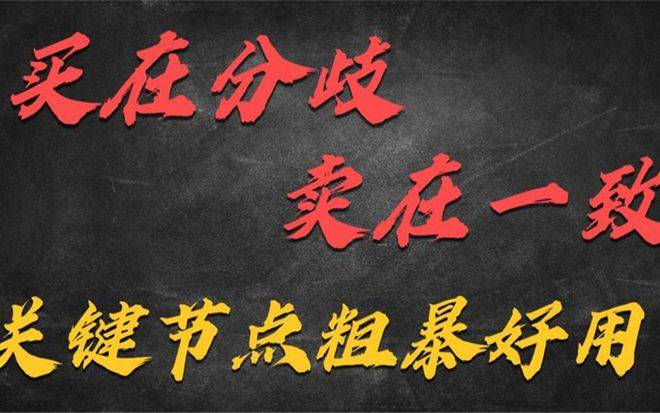 股票“买在分歧<strong></p>
<p>股票涨停后如何买</strong>,卖在一致”,如何具体应用?