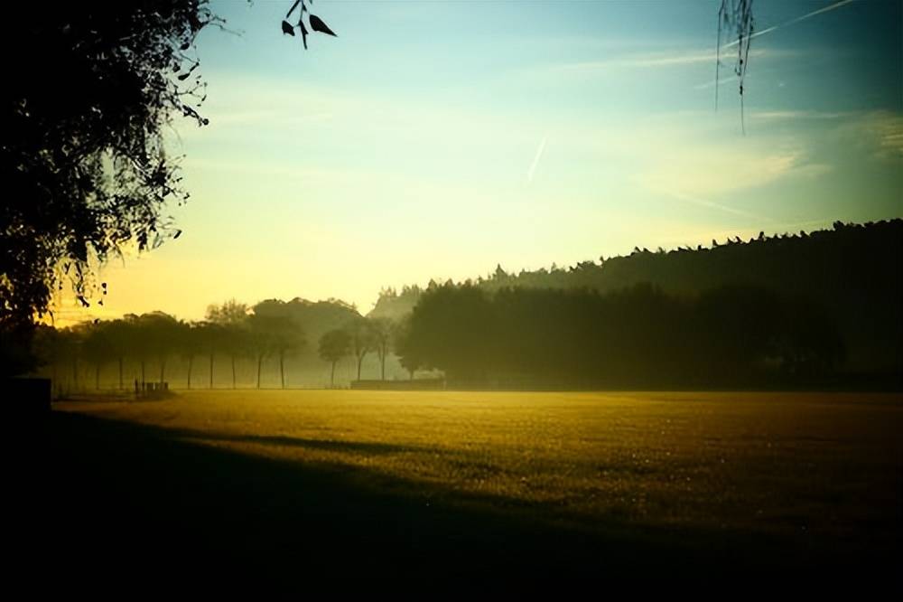 股指期权的交易手续费是多少<strong></p>
<p>股票 手续费</strong>?有便宜的期权手续费可以相信吗?