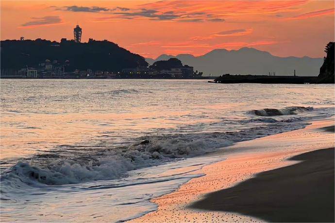 上证50期权的行权结算费用如何收取？