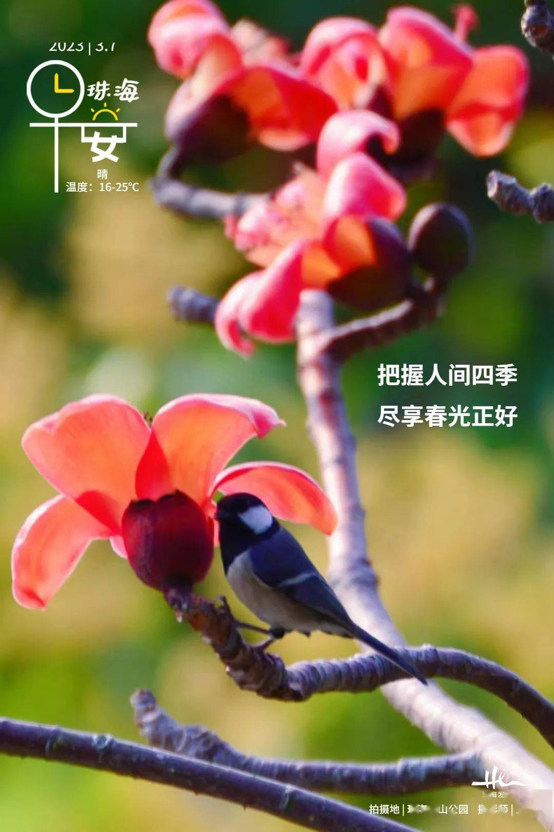 新闻早茶｜免手续费！在珠海，数字人民币可以这样用……