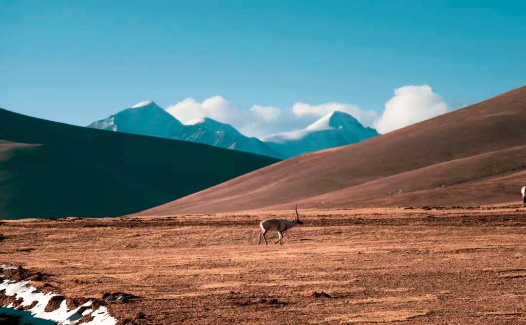 新公告<strong></p>
<p>区块链发行币</strong>，黄山币发行有变？三江源币迎来预热，5枚等待预约