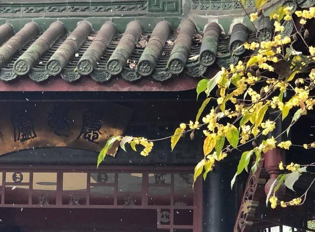 重庆大足永晟实业发行2.65亿人民币自贸区离岸债，息票率4.20%