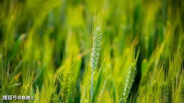 高考文言文高频词汇编（一）