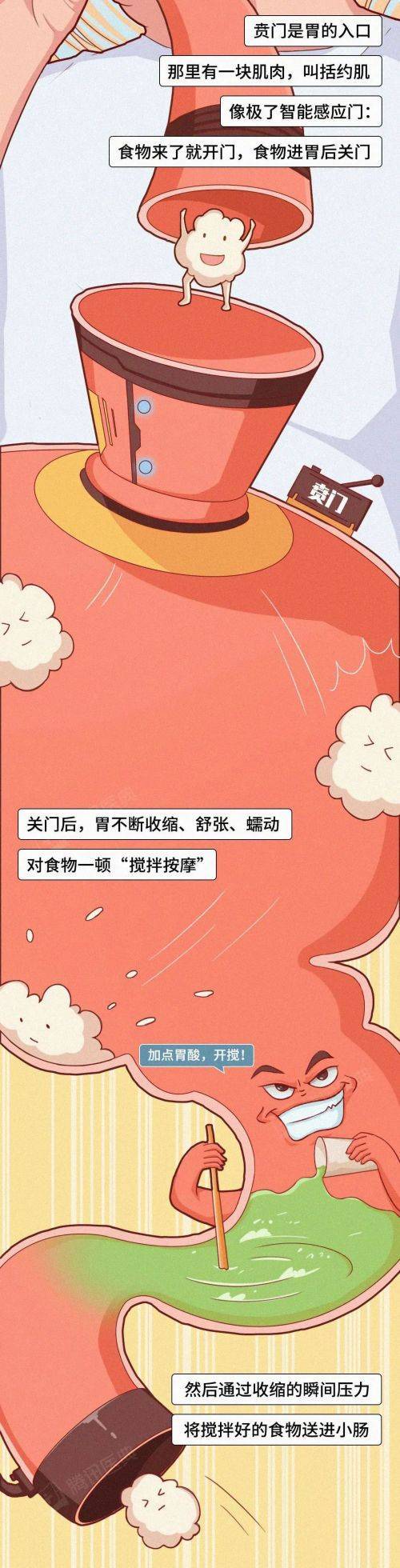 经常吃宵夜的人<strong></p>
<p>DRH虚拟币</strong>,胃会发生什么变化…