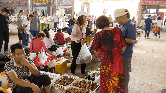 野生菌大量上市<strong></p>
<p>虚拟币上市价</strong>!全年最低价!快冲~